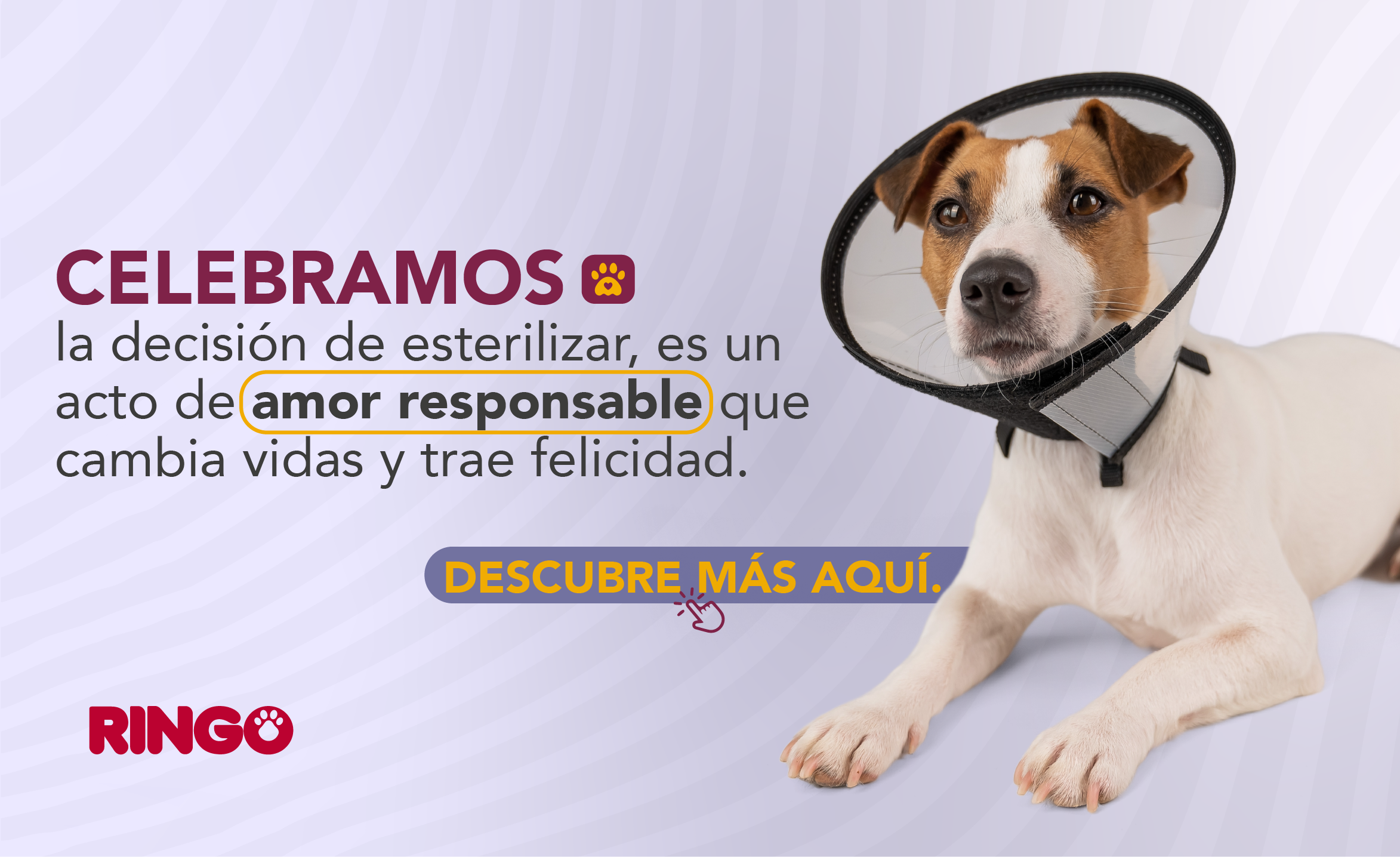 Banner esterilizacion colombia